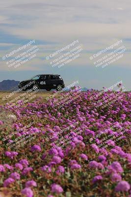 media/Jan-08-2023-SCCA SD (Sun) [[8f6a5b9391]]/Intermediate Group/Session 2 (Short Straight)/